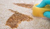 Cheap Carpet Cleaning Melton image 3